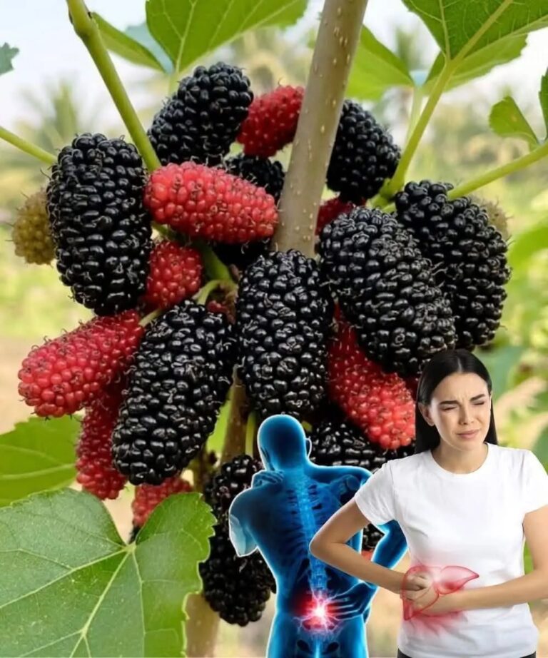 13 razones por las que deberías comer esta fruta regularmente, tanto para hombres como para mujeres